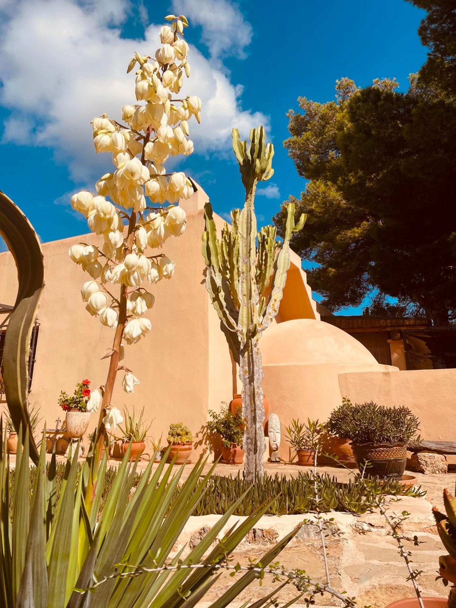 Finca Can Toni Sant Jordi de ses Salines Екстериор снимка
